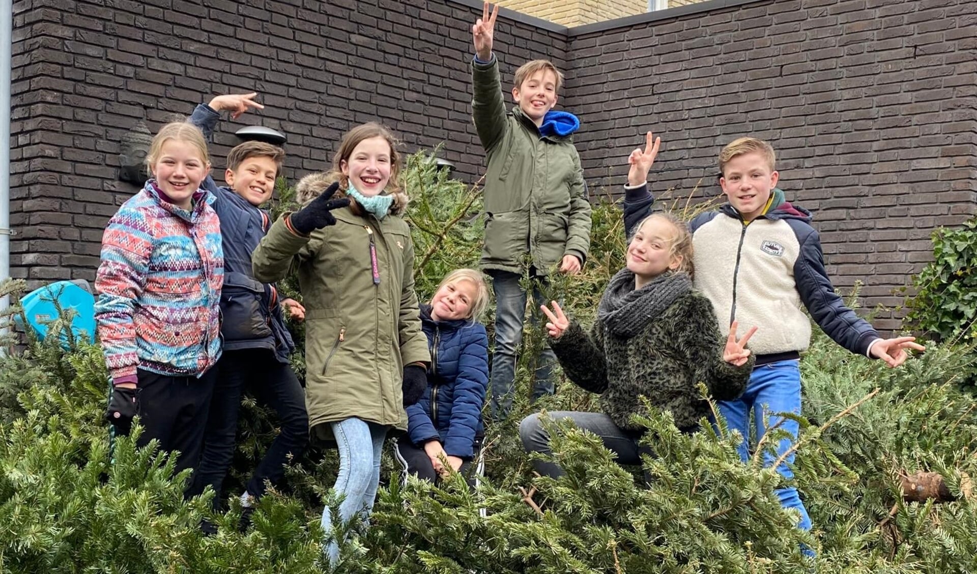 Sommige kinderen weten een grote hoeveelheid kerstbomen te verzamelen.