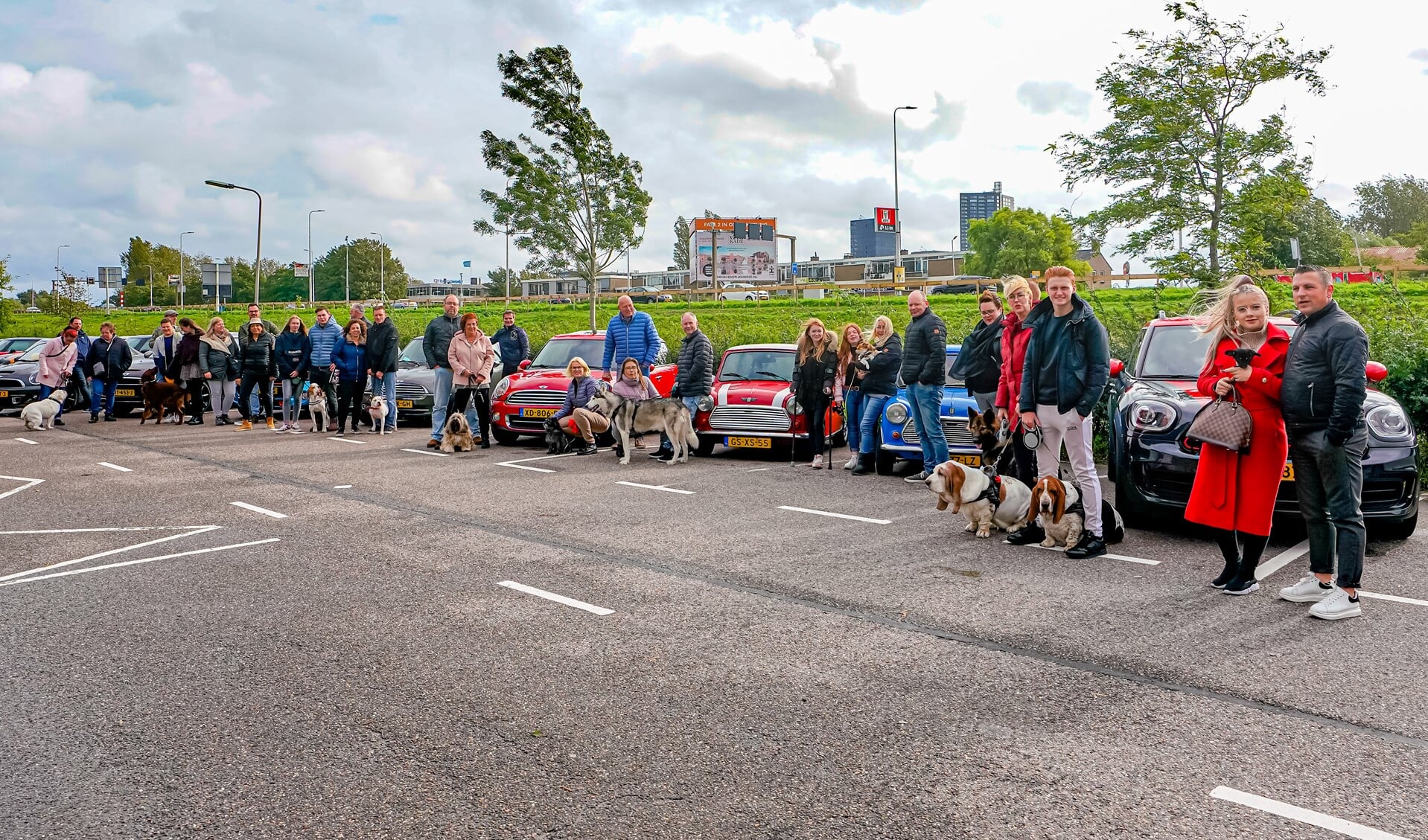 Een grote verscheidenheid aan Mini's en honden.