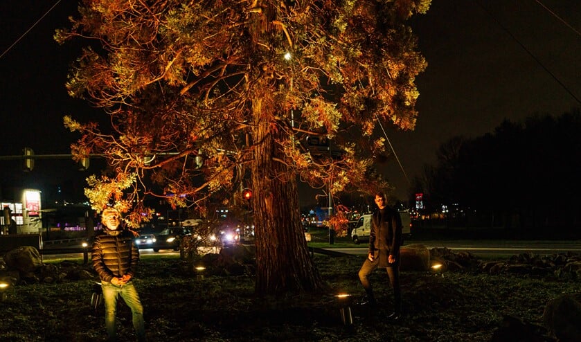 <p>Tijdens Orange the World werd de sequoia in het oranje licht gezet. </p>