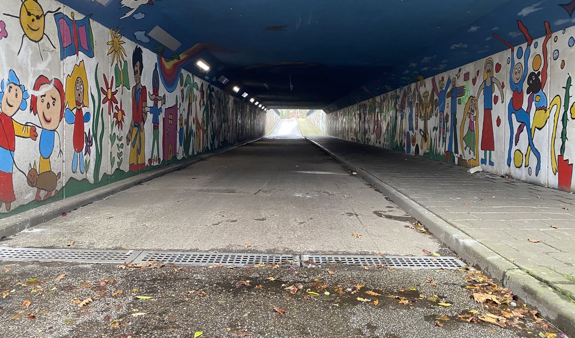 Rommel en herrie zijn de omwonenden van het fietstunneltje een doorn in het oog. 