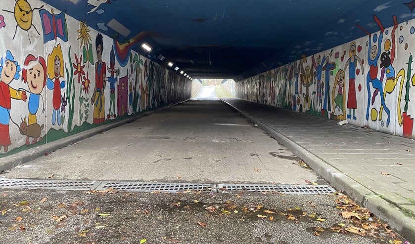 <p>Rommel en herrie zijn de omwonenden van het fietstunneltje een doorn in het oog. </p>