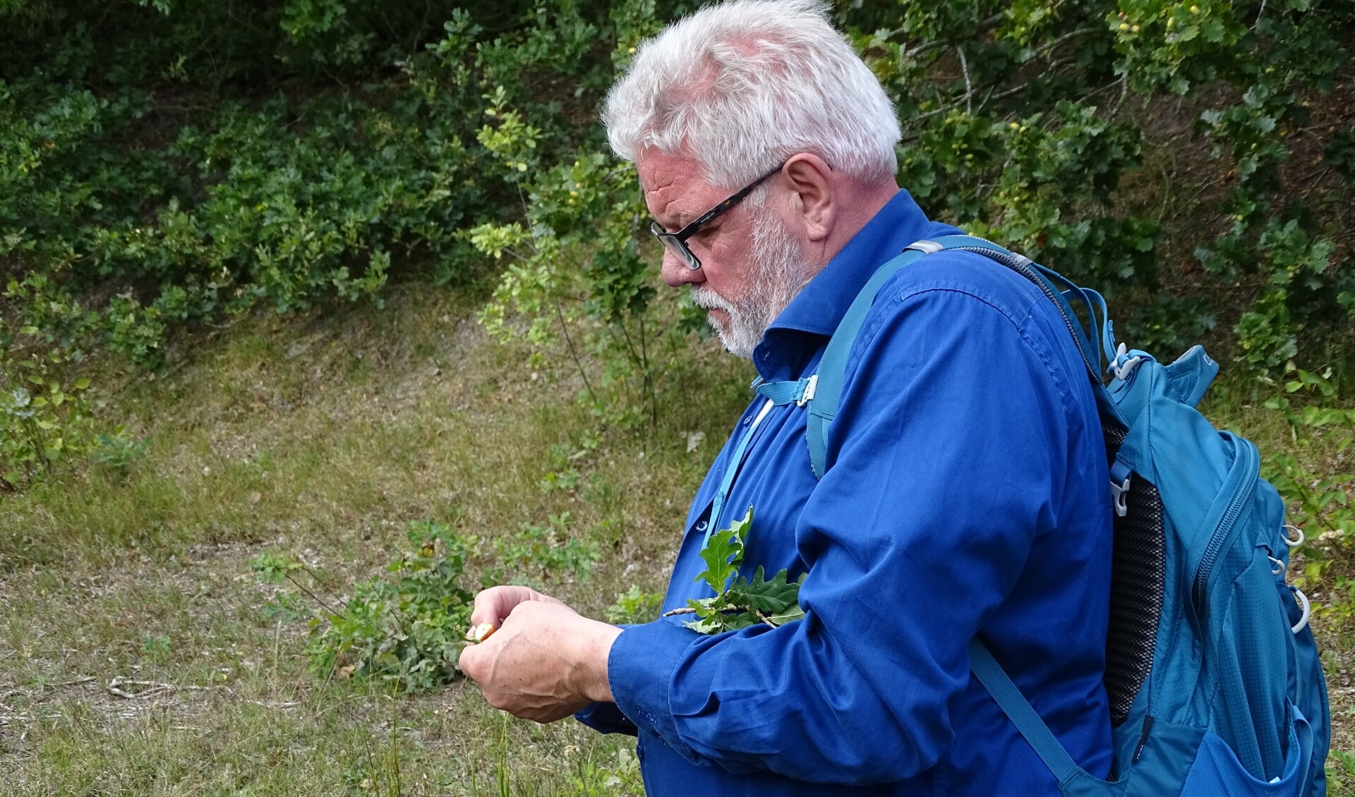 Bert Bannink is oud-docent biologie van de RGO, maar nog altijd gepassioneerd verteller als het gaat over natuur en milieu.