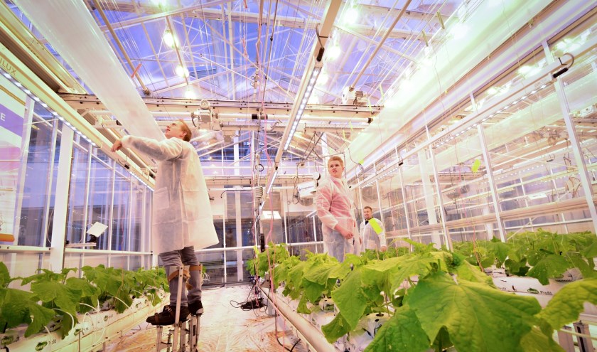 De All Climate Greenhouse, het meest vernuftige leslokaal van Nederland. Foto: (PR)