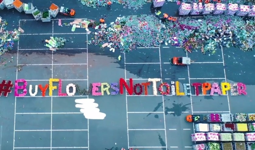 Met de hashtag #buyflowersnottoiletpaper roept de bloemenbranche klanten op hun producten te blijven kopen. (Foto: PR)