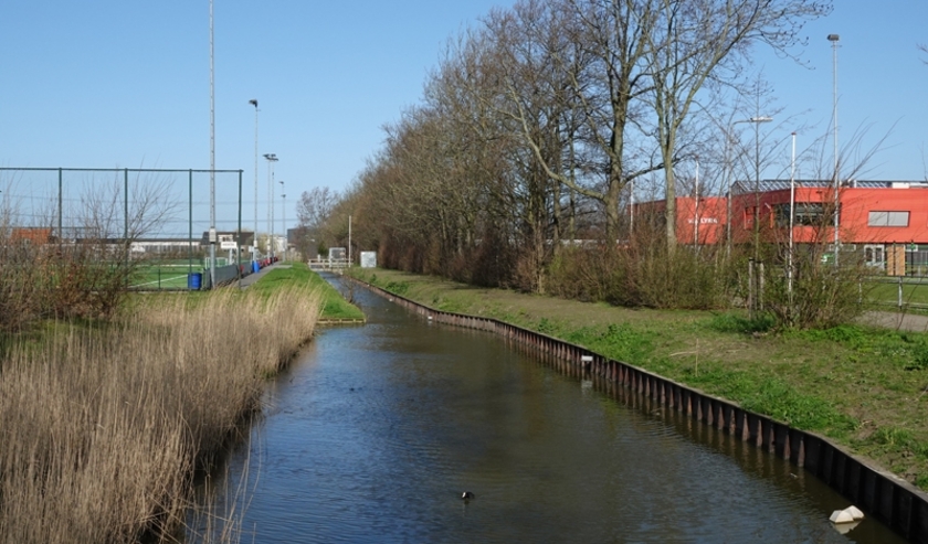 Natuur-Westland juicht natuurlijker groenbeheer rondom sportvelden van harte toe. Foto: (PR)