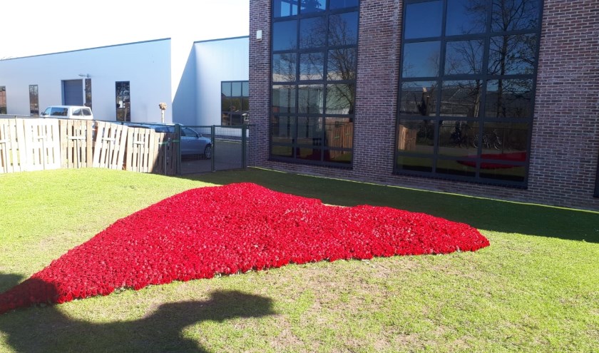 Hart van rozen aan de Hooghe Beer in Kwintsheul. (Foto: WB)