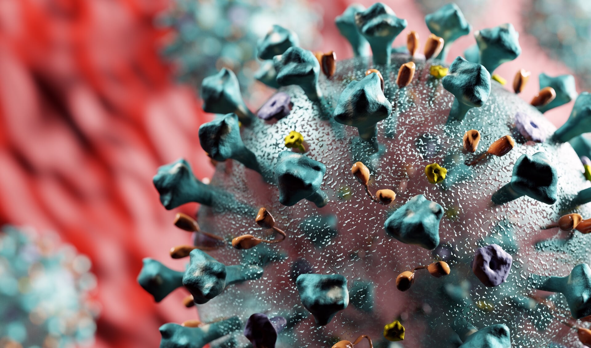 Het coronavirus is op dit moment het onderwerp van gesprek. Foto: Envato Ellements.