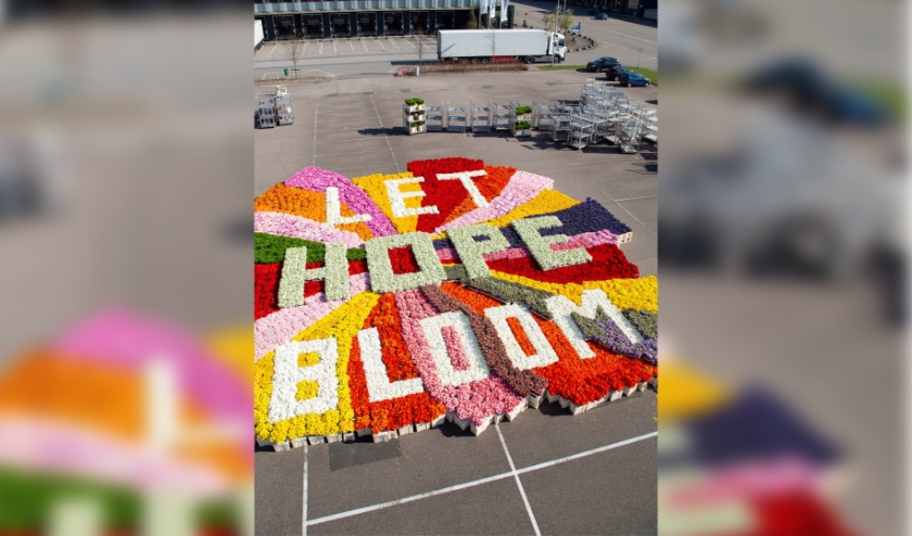 De campagne 'Let Hope Bloom' oogst veel waardering onder consumenten. Foto: (PR)