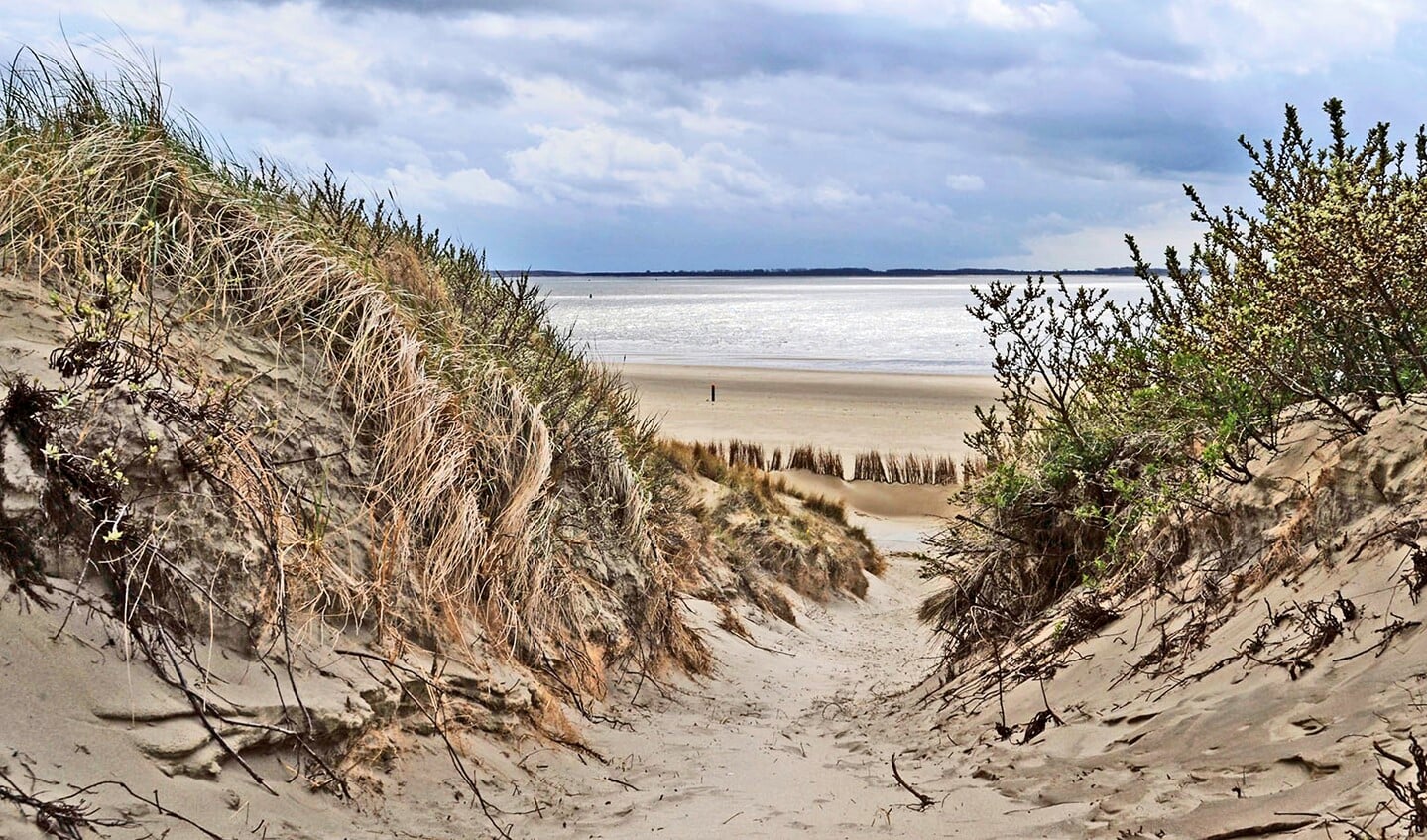 De duinen van Voorne (Foto: Jos Uijtdehaage)