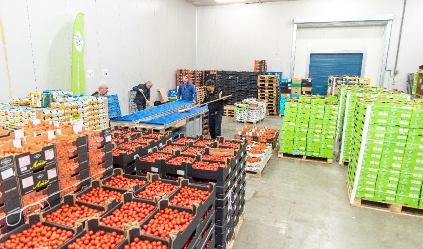 Vrijwilligers van de Groente & Fruitbrigade aan het werk in het distributiecentrum te Poeldijk.