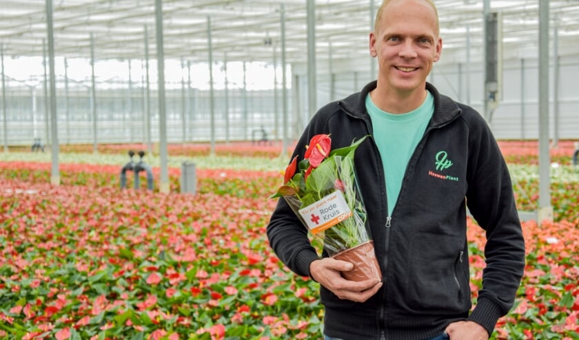 Johan van der Houwen, mede-eigenaar Houwenplant. Foto: (PR)