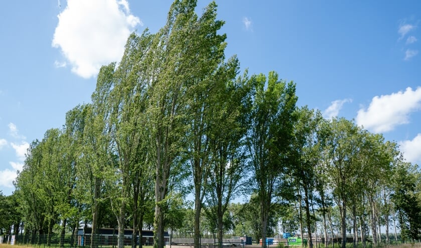 Monsters werden genomen uit vijf RWZI's :Oude-Tonge (foto), Ooltgensplaat, Den Bommel, Middelharnis en Goedereede.