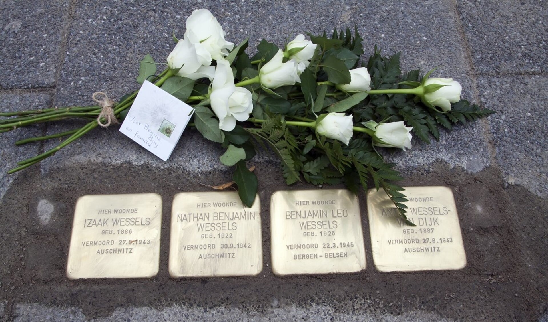 De vier stenen voor de familie Wessels liggen op de Stationsweg in Oostvoorne.
