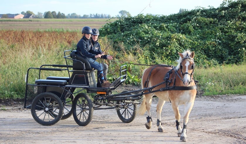 <p>Bram Reedijk samen met Pauline op de bok. (foto: fam. Reedijk)</p>
