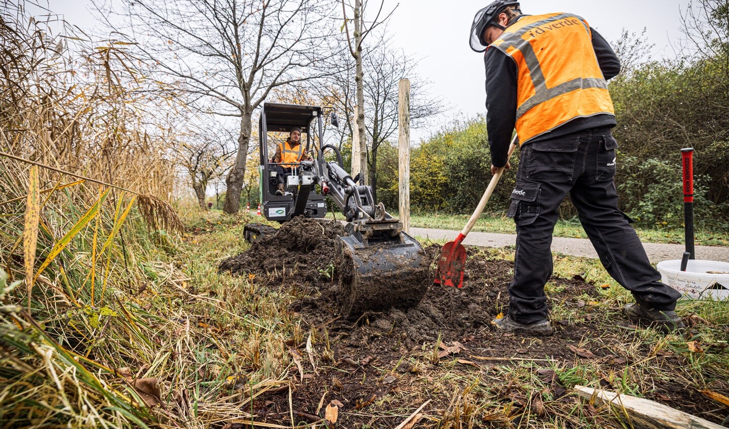 Het herplanten van de bomen is deze winter gestart. Foto: Waterschap Hollands Delta