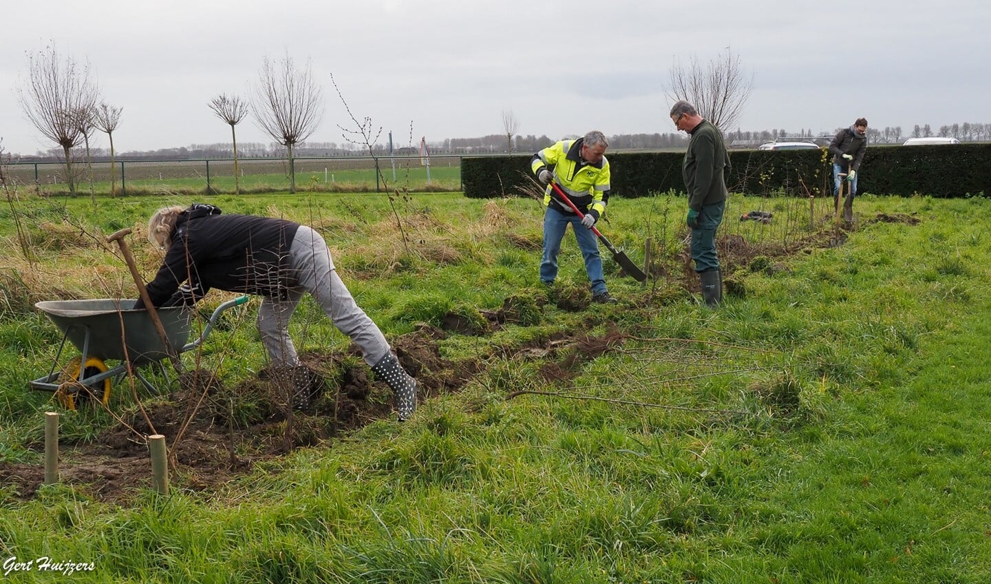 Vrijwilligers plantten meer dan 500 inheemse struiken. 