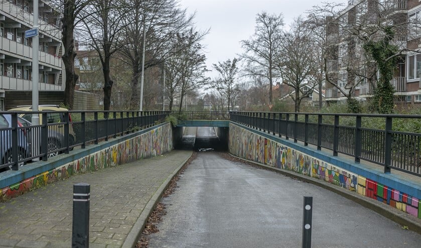 Over de fietstunnel onder de Amnesty Internationallaan zijn de meningen verdeeld. 