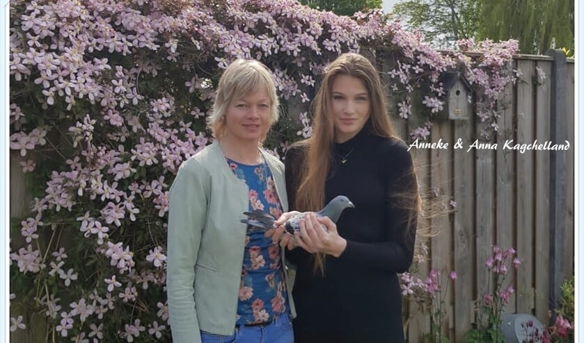 <p>In Dirksland werd de eerste duif, de NL20-7024289, gemeld door Anneke & Anna Kagchelland. De snelheid was 1236 meter per minuut!.</p>