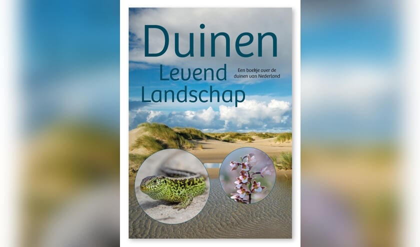 <p>Stichting Duinbehoud zet zich in om de duinen en strand te behouden als natuurgebied en waar mogelijk te herstellen.</p>