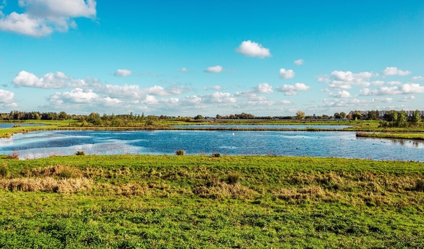 <p>Waterberging Waalbos. </p>