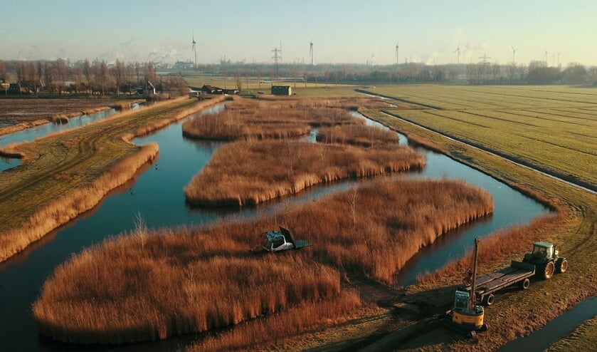 <p>Een keer per jaar voert het waterschap onderhoud uit aan deze waterbergingsgebieden. </p>