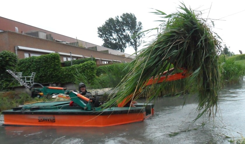 <p>Losse planten worden naar de wal gebracht.</p>