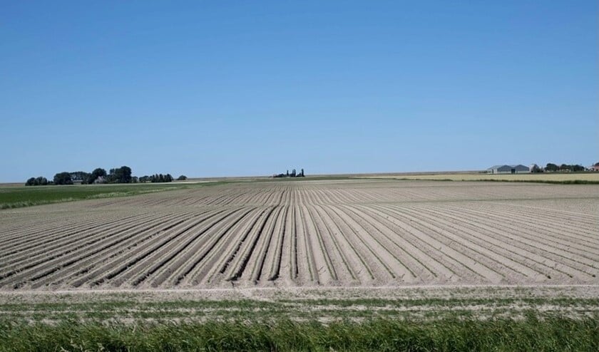 <p>Goede afspraken voorkomen dat er over ingezaaid land gereden wordt.</p>