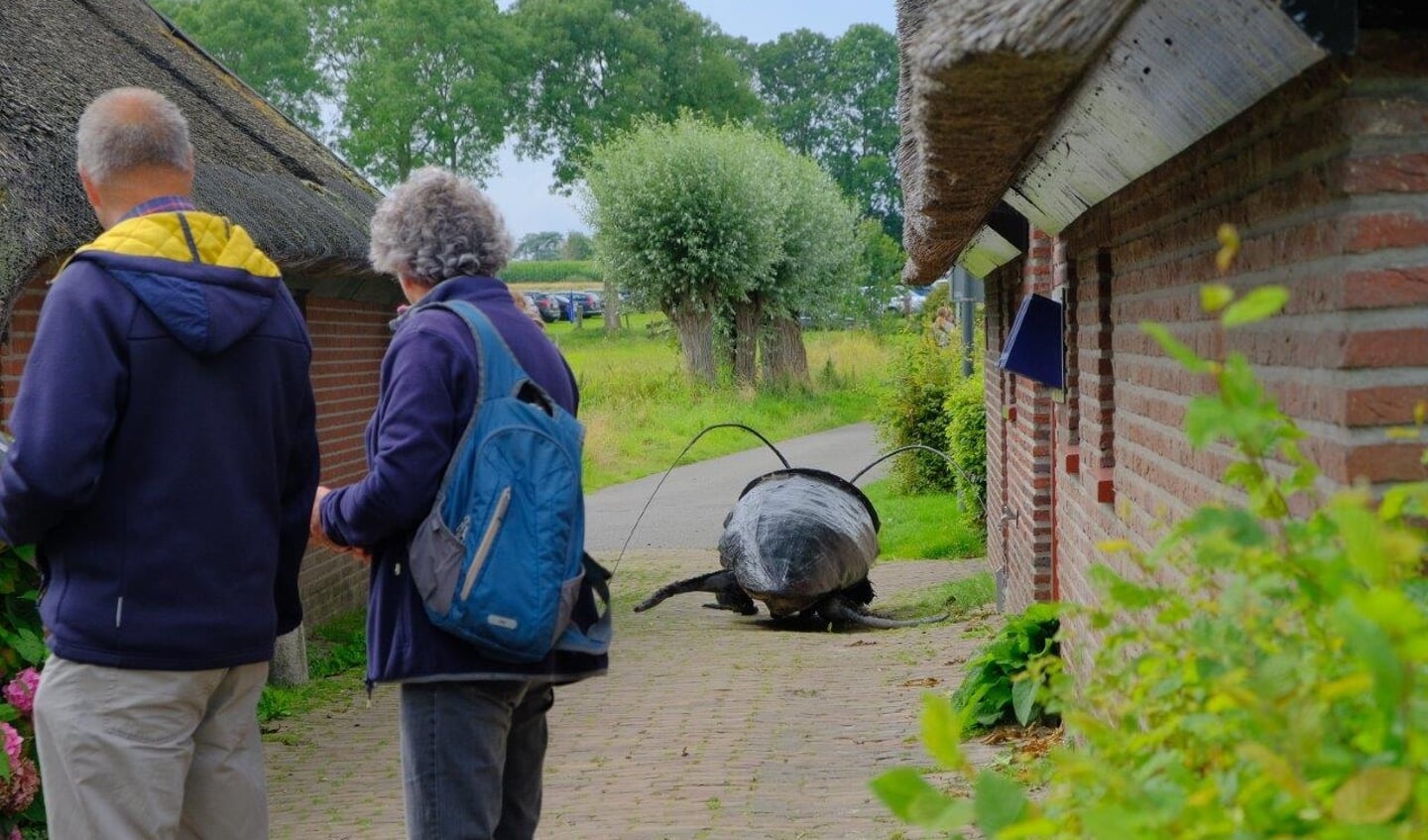 Afbeelding
