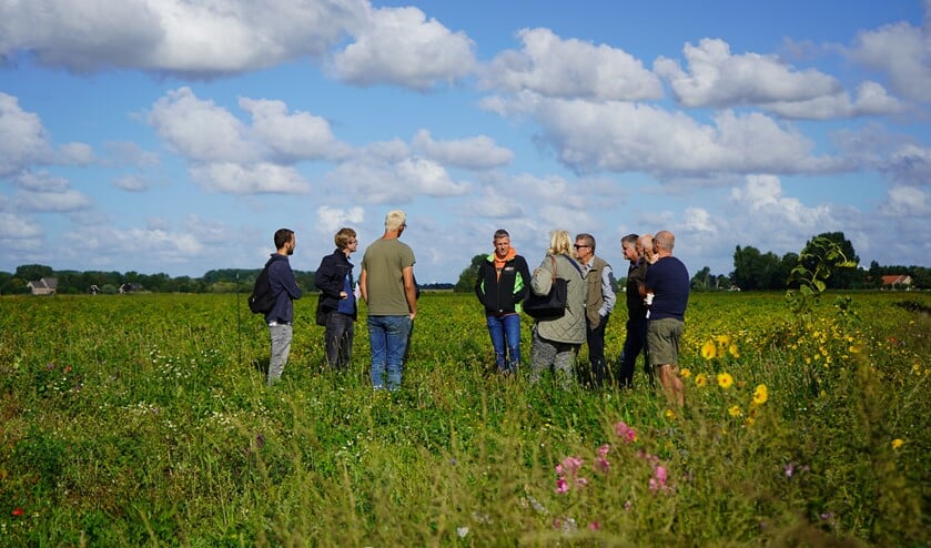 <p>Bij een rondje langs de proefveldjes worden ervaringen uitgewisseld. In de Hoeksewaard is het collectief van boeren al 20 jaar bezig met de aanleg van groene akkerranden. Een derde van de boeren doet daar al mee. </p>