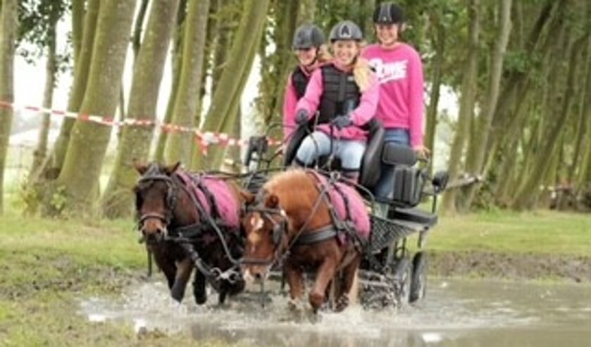 <p>Op de foto’s is te zien hoe Cor Esselink zijn trekpaarden en Liza de Vogel haar twee shetlanders door de waterbak proberen te sturen.</p>