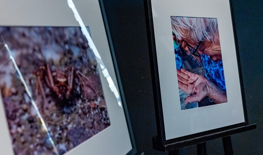 <p>Bij het rapport hoorde een fototentoonstellinkje. </p>