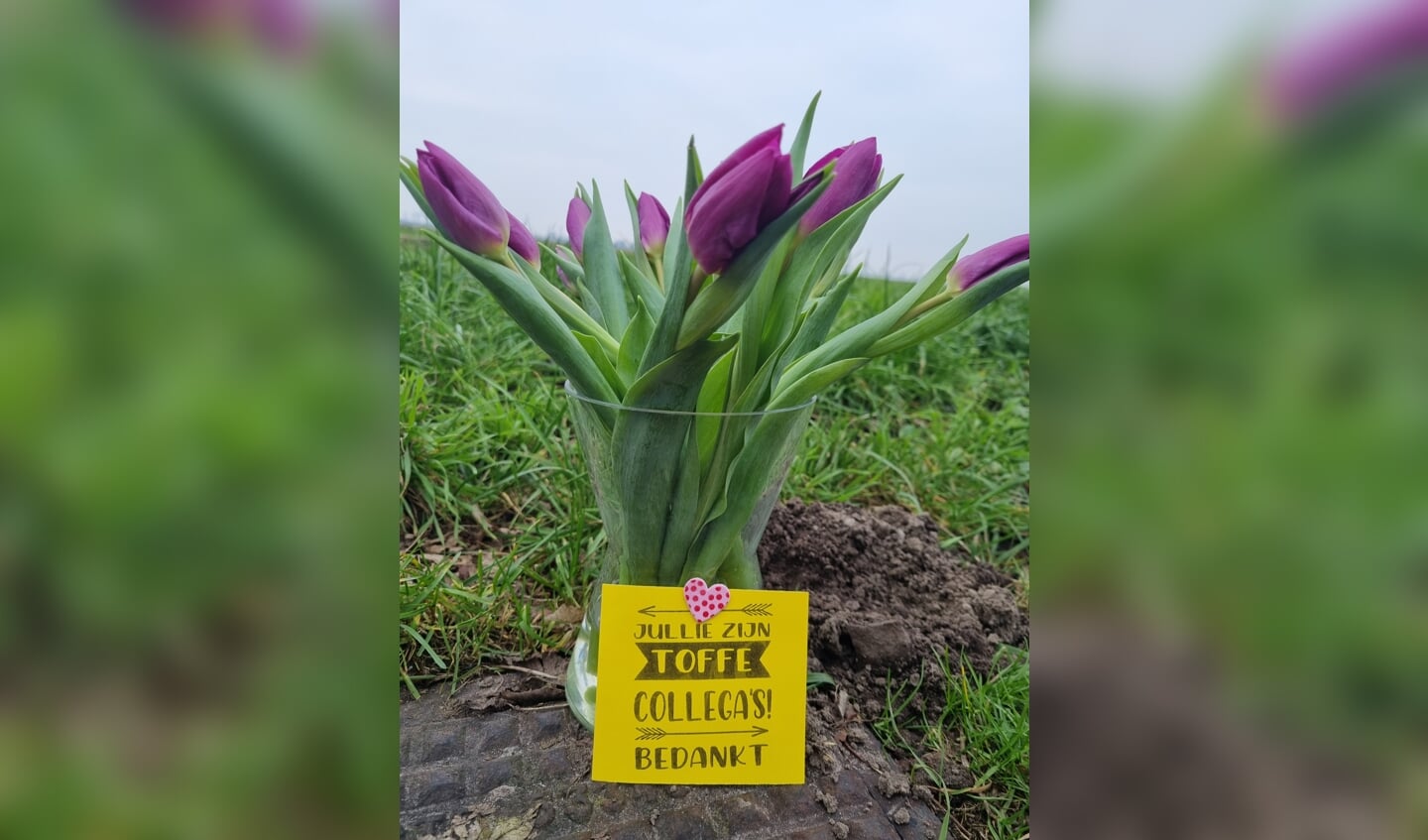 foto: W. Vergeer