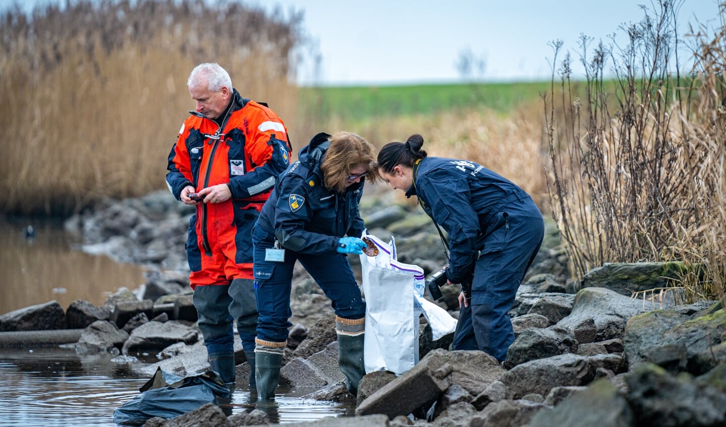 Foto: Media TV/ Killian Lindenburg