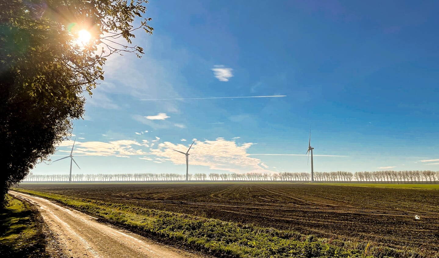 Bomen Op Goeree-Overflakkee, Beheren En Of Behouden - Adverteren Goeree ...