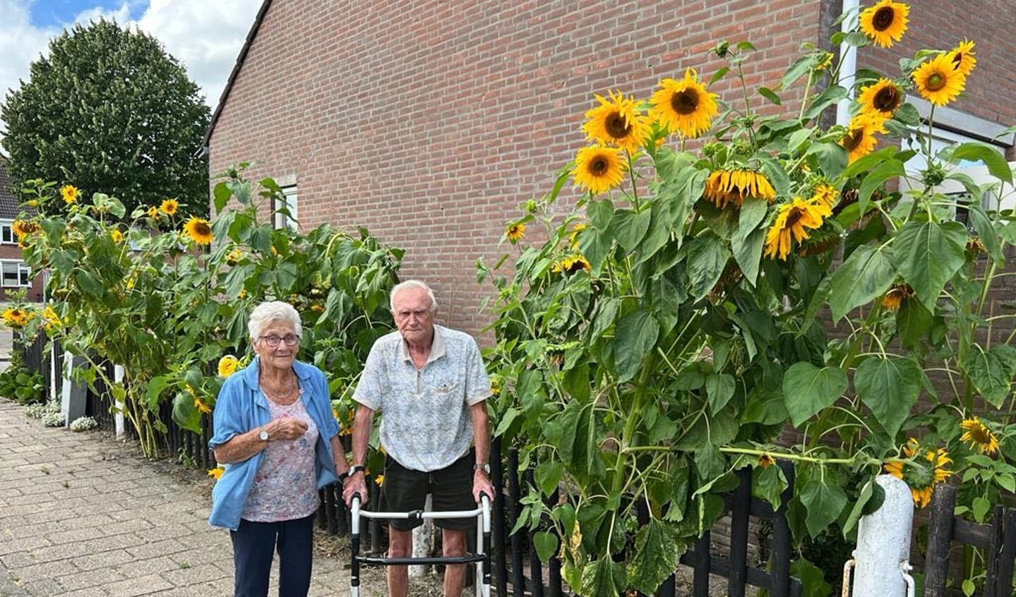 Foto: Wil van Balen