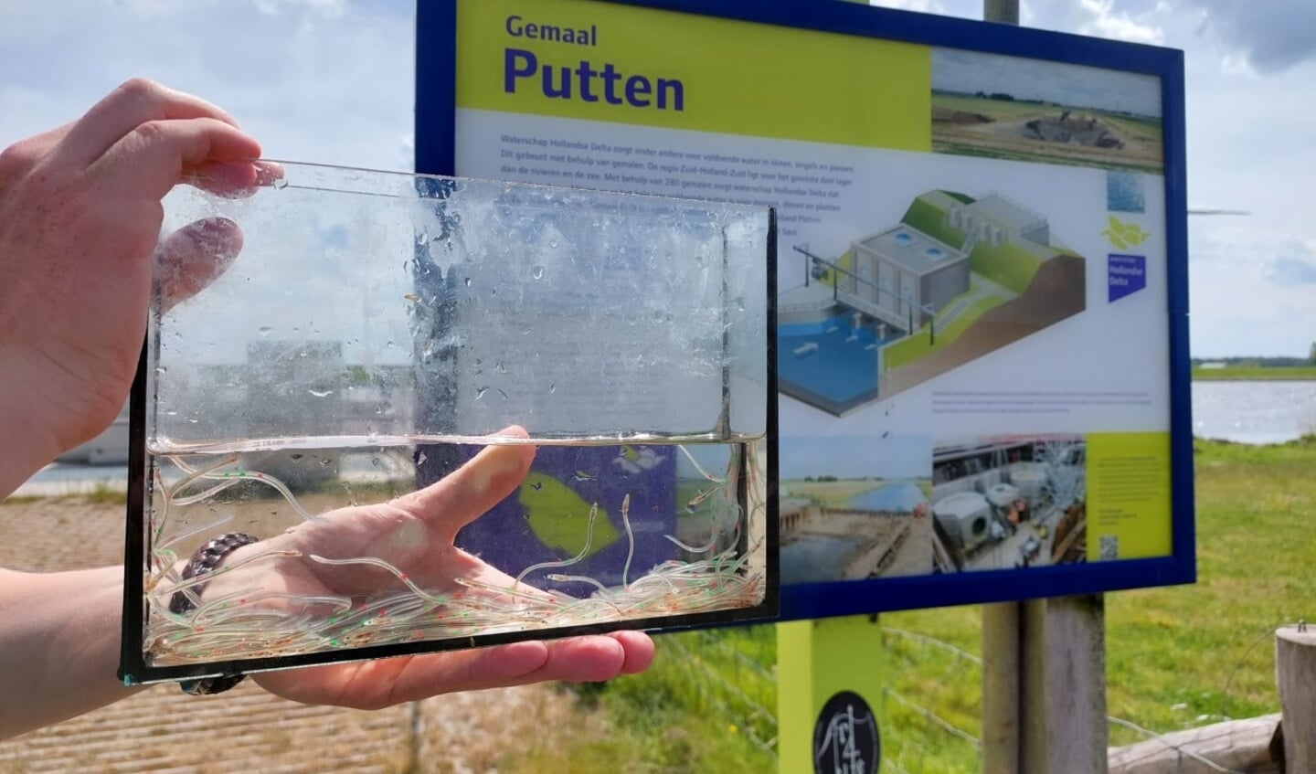 Het onderzoek loopt nog. In 2023 delen ze de eindresultaten.