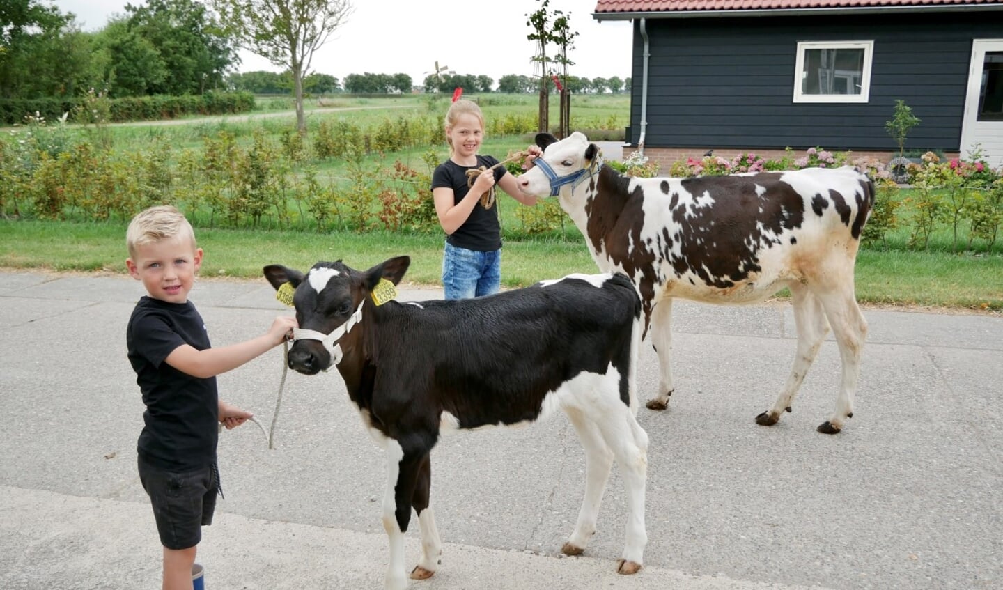 Finn met zijn kalf Kh Oh Heida 5 en Tessa met haar kalf Kh Rosco Rika 435