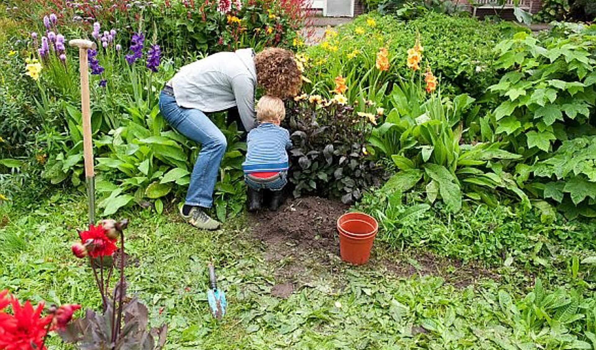 prinses publiek vasthouden Zó maak je van bloembollen planten met kinderen een feest - Adverteren  Brielle, Zwartewaal en Vierpolders | Briels Nieuwsland | Krant en Online