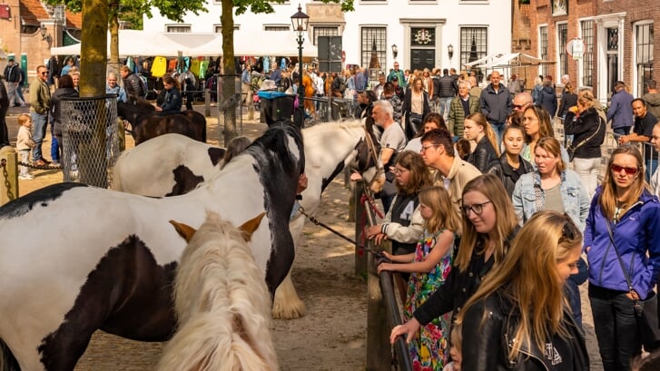 In mei vindt de traditionele paardenmarkt plaats in Heenvliet.