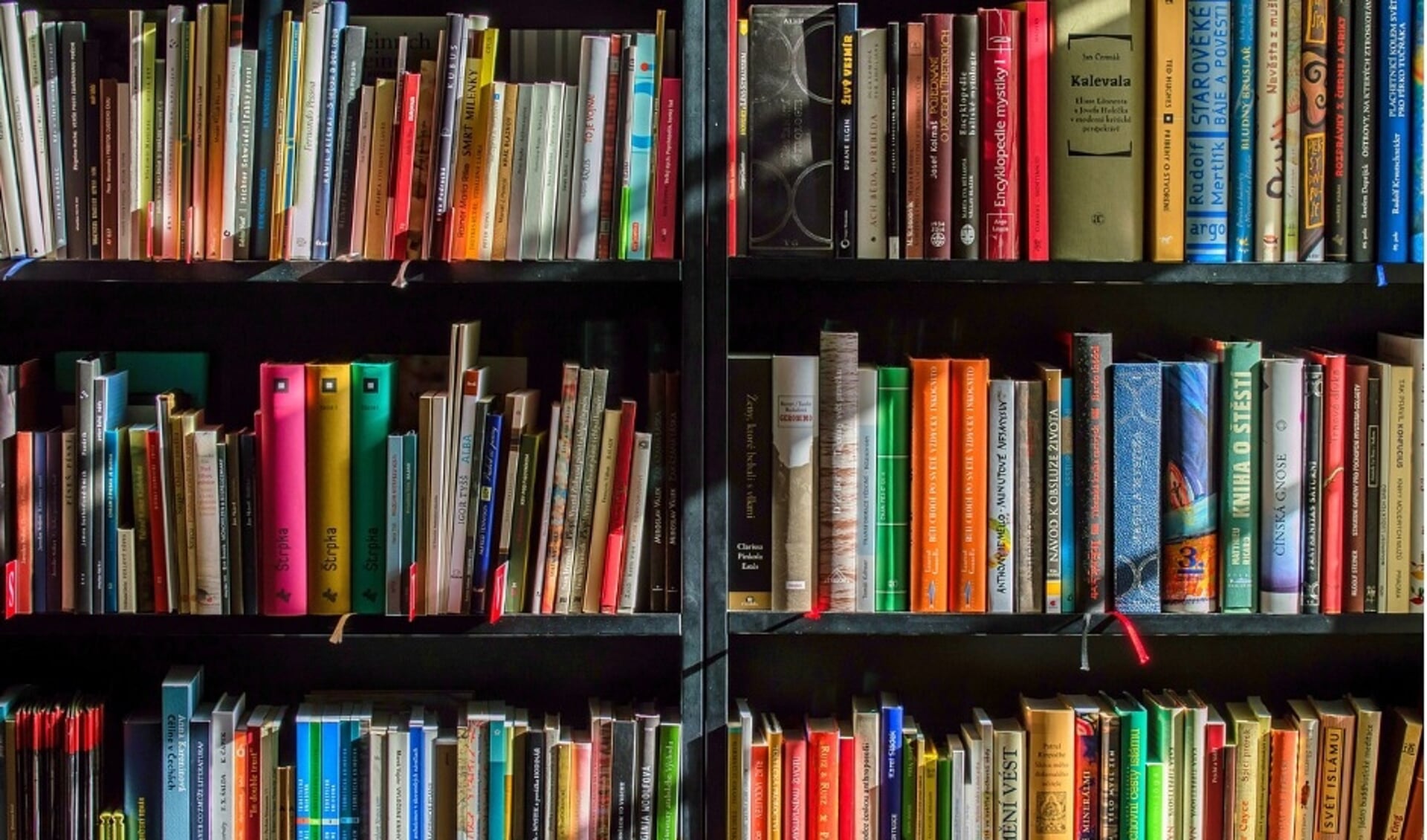 Steeds meer bibliotheken in Nederland rekenen geen boetes meer voor de jeugd.