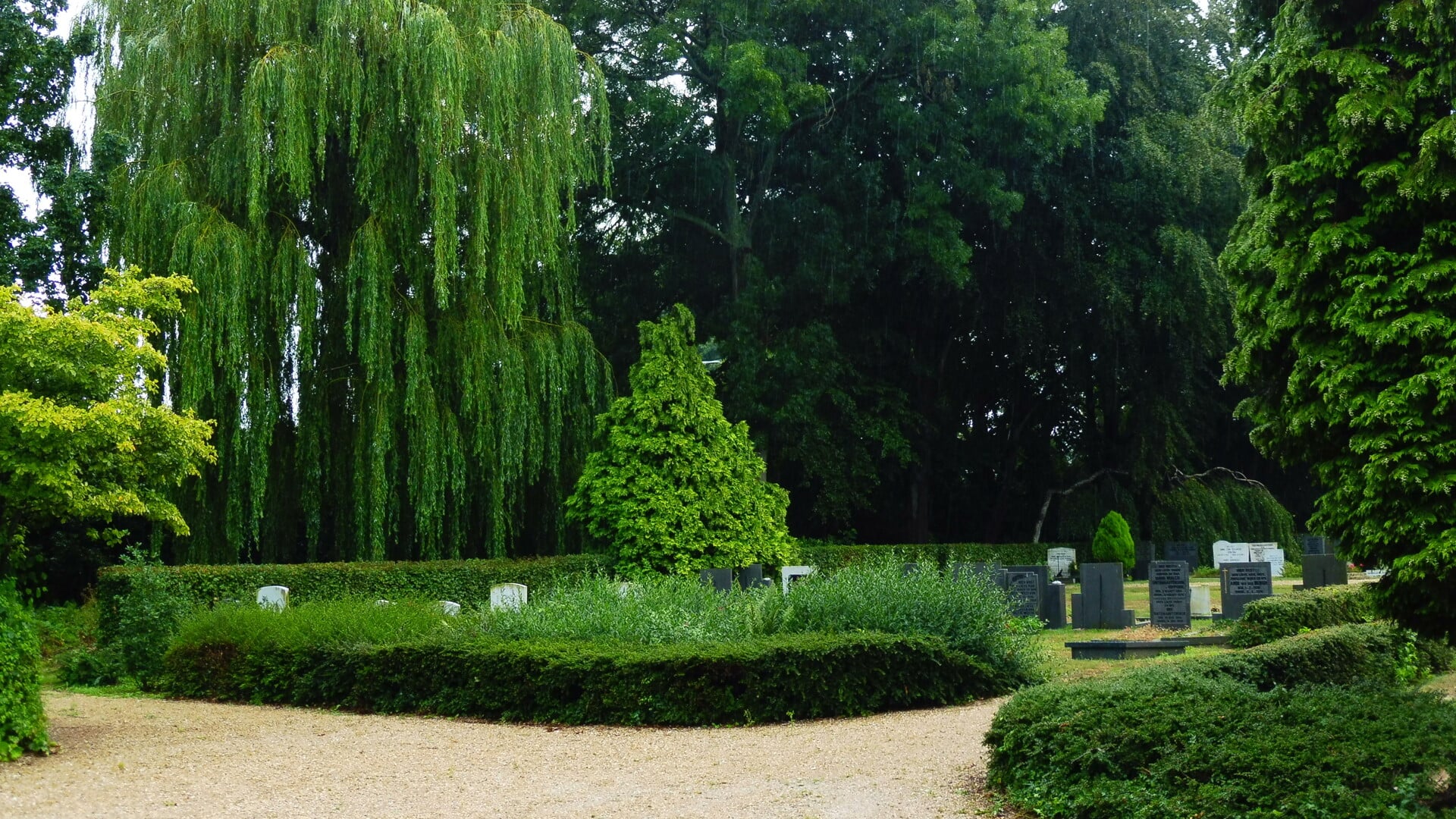 De begraafplaats is een groene oase.