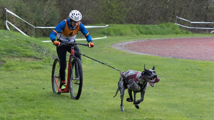 Sportief teamwork tussen mens en dier. (foto: Anneke Waldekker)