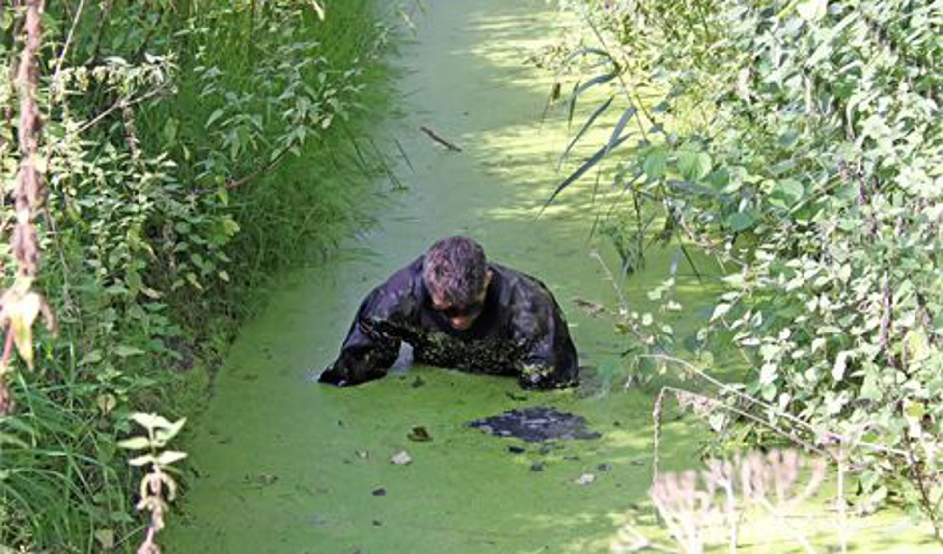 Zoektocht naar het moordwapen. Archieffoto: Wil van Balen