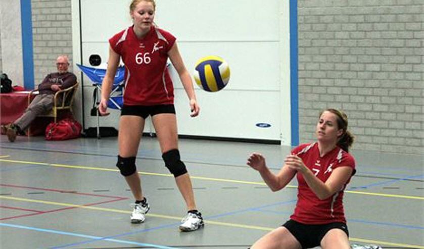 Foto: Theo van Kralingen