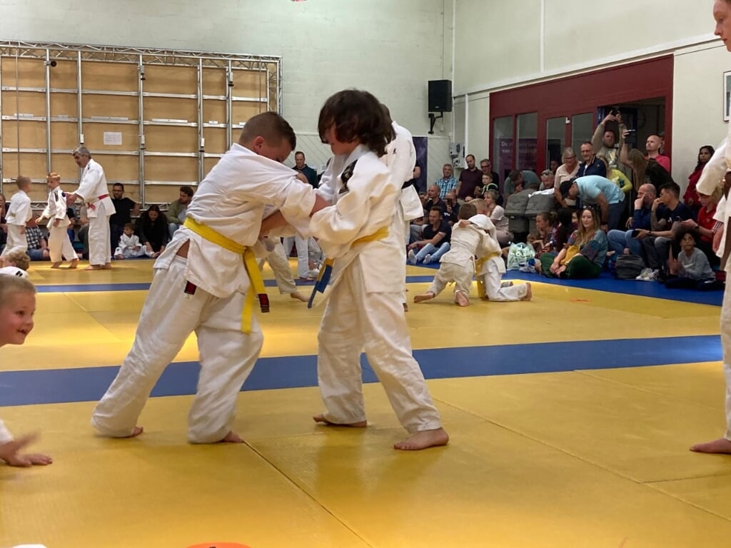 Door deze manier van judowedstrijden krijgen de jonge judoka's wedstrijdervaring en leren ze ook omgaan met winst en verlies.