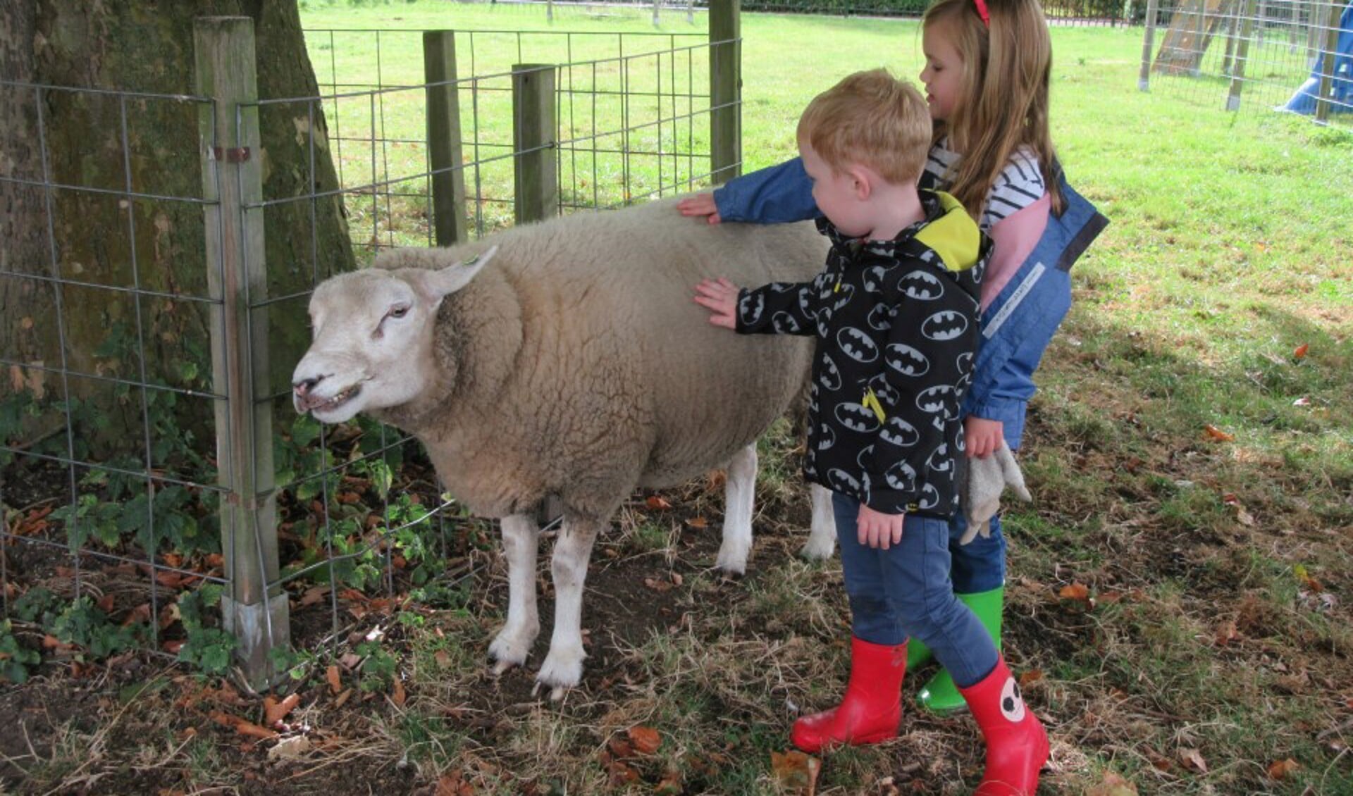 Kinderboerderij Zevenbergen Wordt Rookvrij - Al Het Nieuws Uit Moerdijk