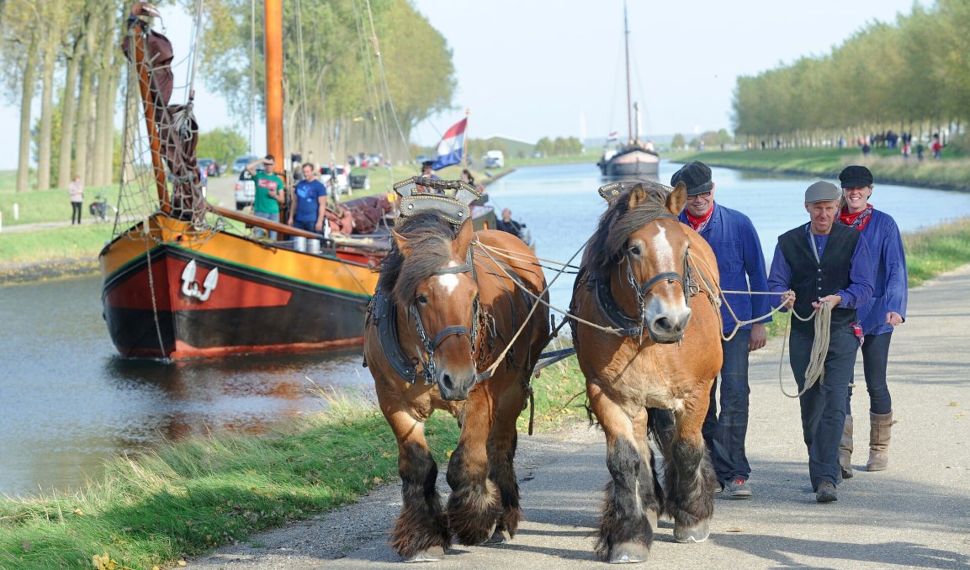 Het jagen van de platbodems door grote trekpaarden vindt dit jaar plaats in Steenbergen