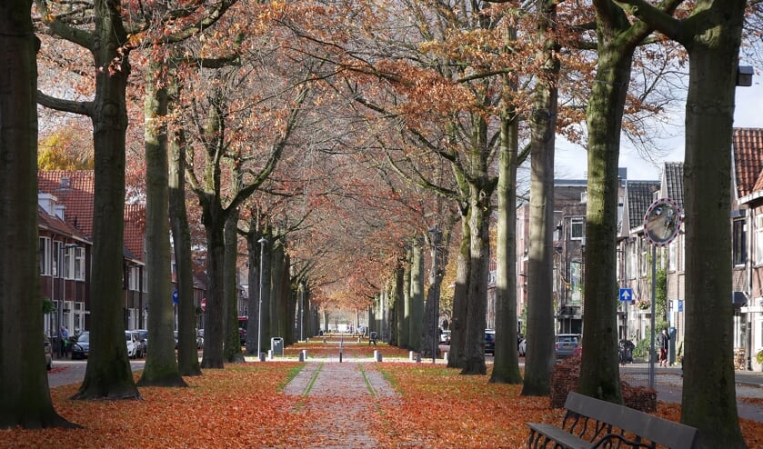 Herfst in Breda, november 2018.