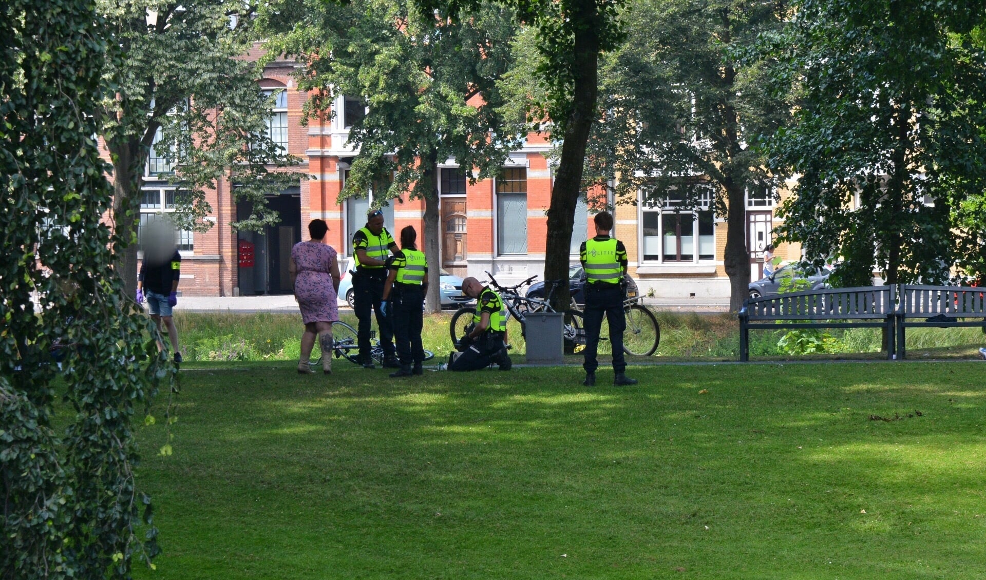 Op meerdere plekken in het park greep de politie in. 