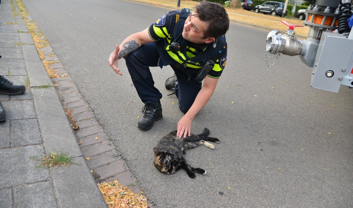 De brandweer heeft met een hoogwerker een kat gered uit een tuimelraam. 